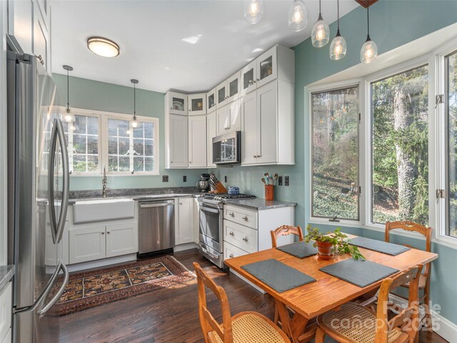 250 Kimberly Ave, Asheville, NC 28804 - kitchen featuring white cabinetry, stainless steel appliances, dark wood finished floors, a sink, and glass insert cabinets