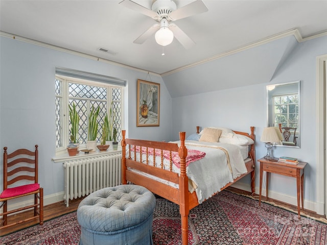 250 Kimberly Ave, Asheville, NC 28804 - bedroom with multiple windows, visible vents, lofted ceiling, and radiator heating unit