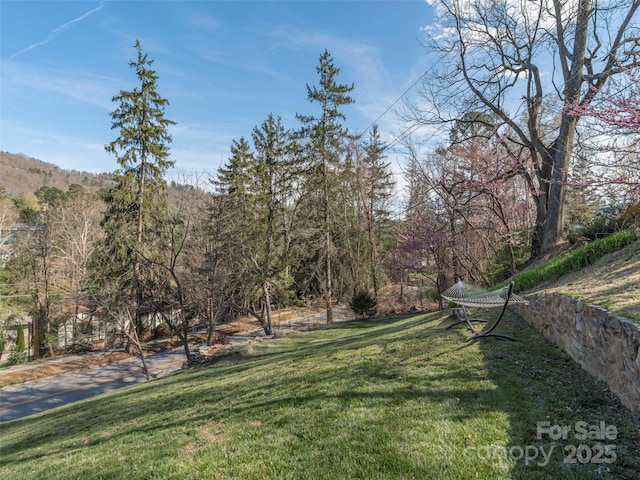 250 Kimberly Ave, Asheville, NC 28804 - view of yard featuring a forest view