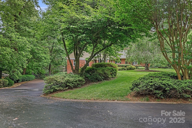 4 Dogwood Rd, Asheville, NC 28804 - exterior space with brick siding, aphalt driveway, and a front lawn