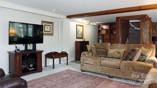 4 Dogwood Rd, Asheville, NC 28804 - living room with carpet floors and beam ceiling