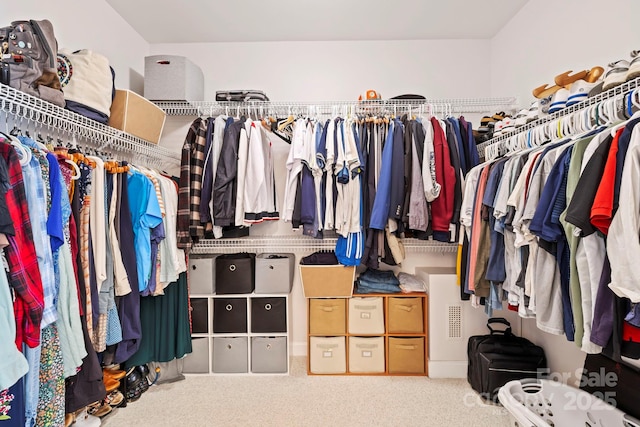101 Skyview Dr, Asheville, NC 28804 - spacious closet featuring carpet flooring