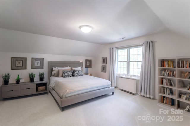 101 Skyview Dr, Asheville, NC 28804 - carpeted bedroom featuring vaulted ceiling