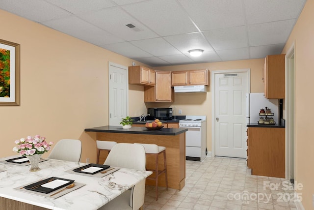 101 Skyview Dr, Asheville, NC 28804 - kitchen with white range with gas stovetop, black microwave, a paneled ceiling, a breakfast bar, and a peninsula
