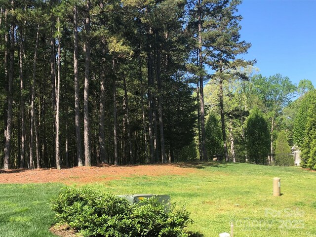 6157 Volte Dr Unit 93, Mint Hill, NC 28227 - photo 4