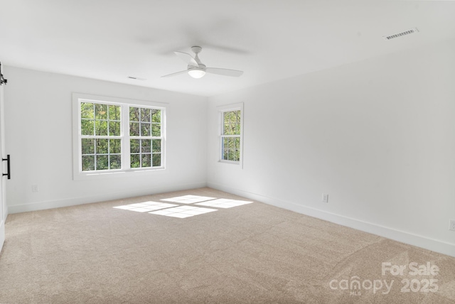 7205 Church Rd, Taylorsville, NC 28681 - photo 29