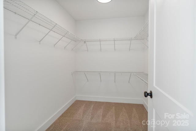 7205 Church Rd, Taylorsville, NC 28681 - photo 37
