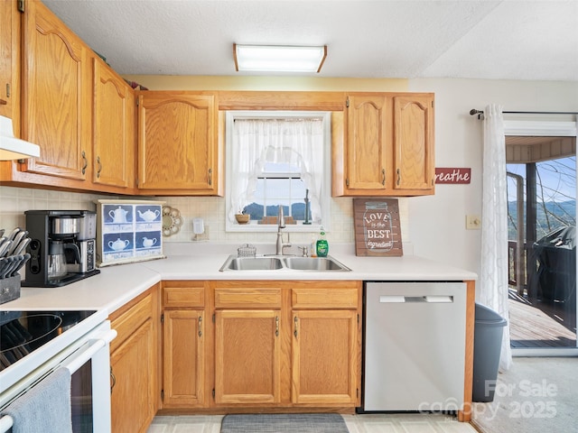 364 Blevins Knob Dr, Burnsville, NC 28714 - kitchen featuring a sink, backsplash, light countertops, and dishwasher