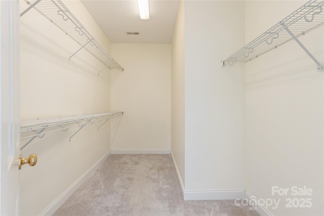 168 Carolina Bluebird Loop, Arden, NC 28704 - photo 27