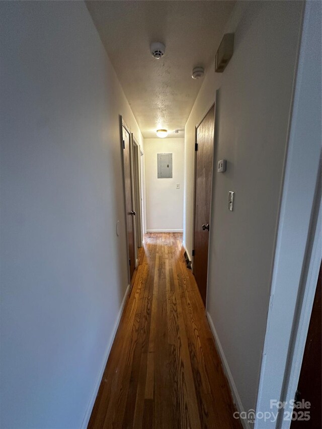 166 Hanover St, Asheville, NC 28806 - photo 10