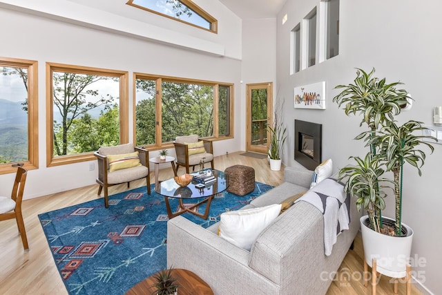 212 Chestnut Forest Rd, Fairview, NC 28730 - living area featuring a glass covered fireplace and healthy amount of natural light