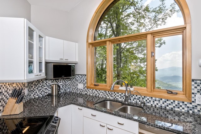 212 Chestnut Forest Rd, Fairview, NC 28730 - kitchen with a sink, dark stone counters, glass insert cabinets, tasteful backsplash, and appliances with stainless steel finishes