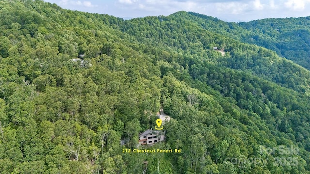 212 Chestnut Forest Rd, Fairview, NC 28730 - view of property location featuring a forest