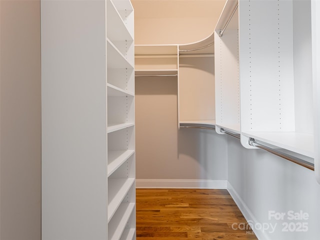 walk in closet featuring wood finished floors