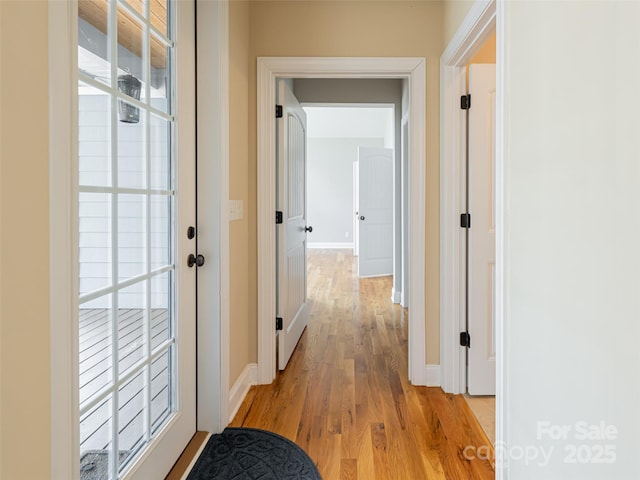 17 Bohemian Ln, Asheville, NC 28805 - photo 20
