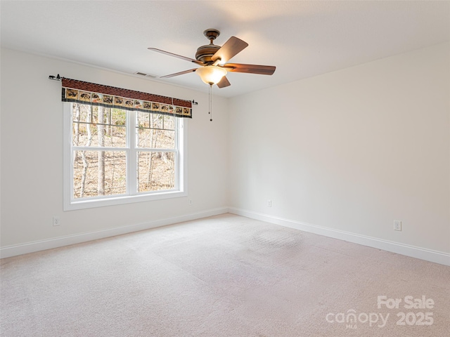 17 Bohemian Ln, Asheville, NC 28805 - photo 28