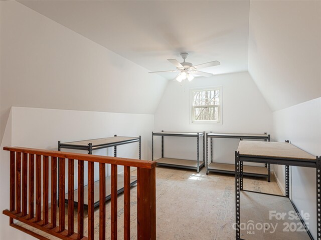 17 Bohemian Ln, Asheville, NC 28805 - photo 43