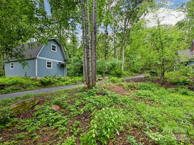 17 Bohemian Ln, Asheville, NC 28805 - photo 46