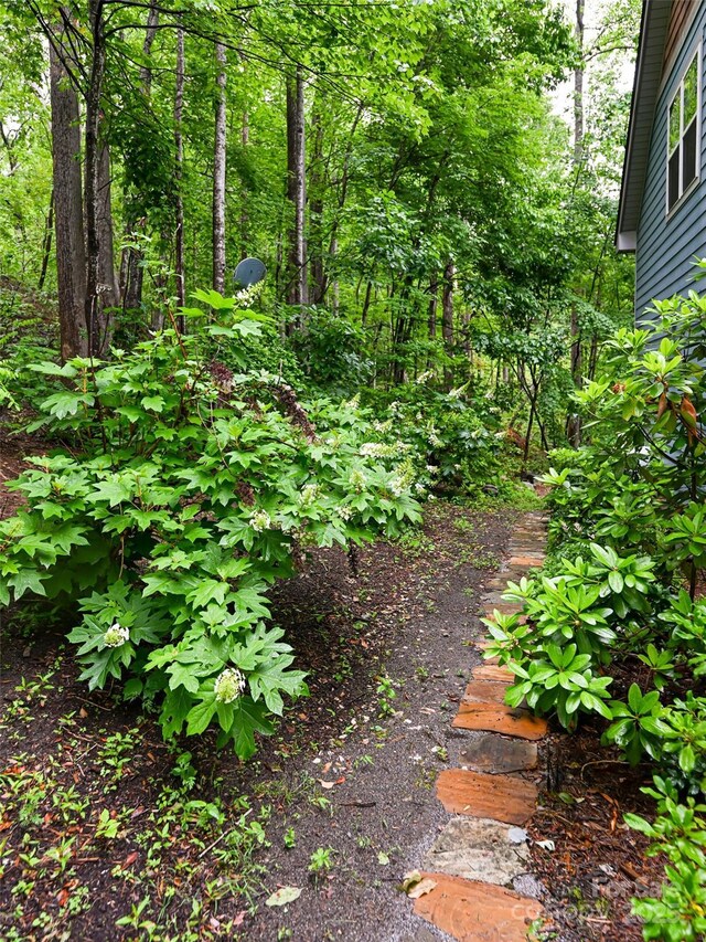 17 Bohemian Ln, Asheville, NC 28805 - photo 47