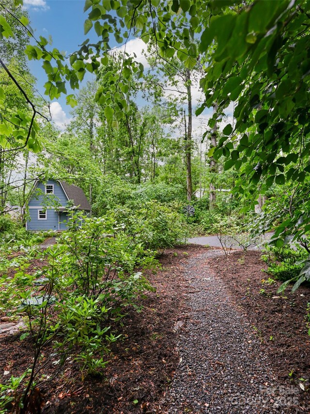 17 Bohemian Ln, Asheville, NC 28805 - photo 48