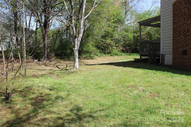 9915 Lottie Ln, Charlotte, NC 28262 - view of yard