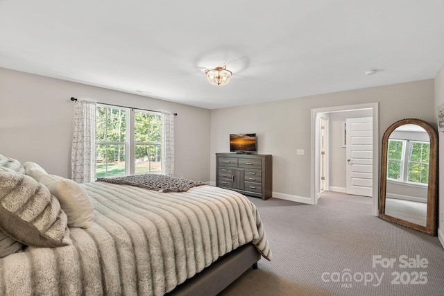4195 Island Fox Ln, Denver, NC 28037 - bedroom featuring baseboards, carpet floors, and multiple windows