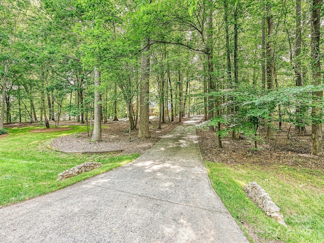 2313 Beechwood Dr, Waxhaw, NC 28173 - surrounding community with driveway, a yard, and a view of trees