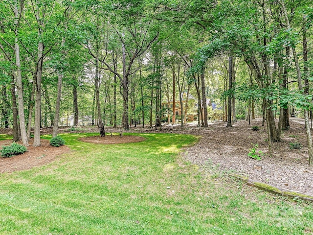2313 Beechwood Dr, Waxhaw, NC 28173 - view of grassy yard