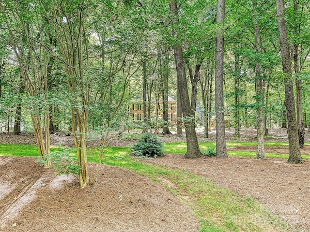 2313 Beechwood Dr, Waxhaw, NC 28173 - view of yard