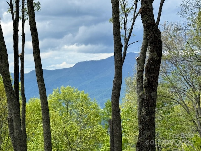 1817 E Reach Rd Unit 216, Sylva, NC 28779