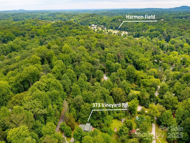 373 Vineyard Rd, Tryon, NC 28782 - view of property location featuring a forest and property parcel outlined