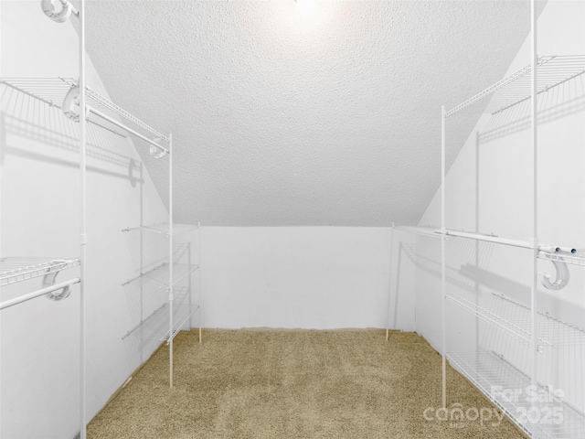 373 Vineyard Rd, Tryon, NC 28782 - walk in closet featuring carpet floors
