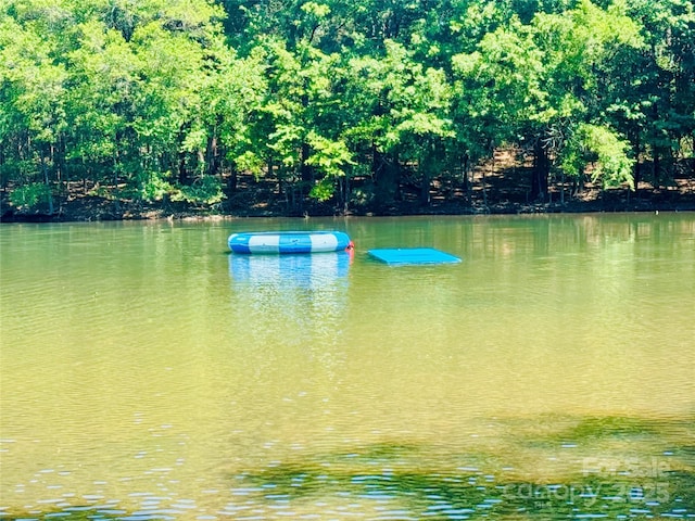 562 Amalfi Dr, Davidson, NC 28036 - water view