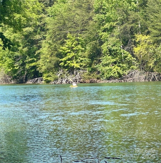 562 Amalfi Dr, Davidson, NC 28036 - water view