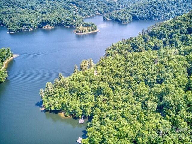 152 Mandolin Ct, Tuckasegee, NC 28783