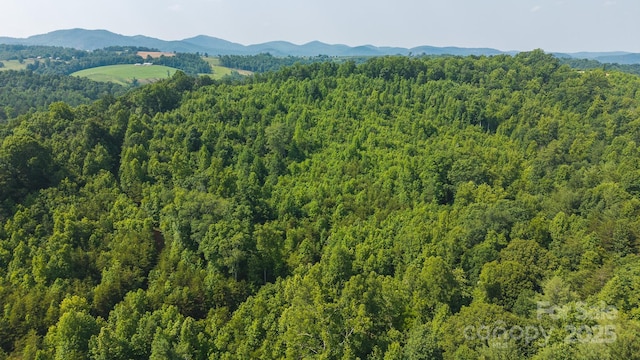 0 Old Vashti Rd Unit 2, Taylorsville, NC 28681