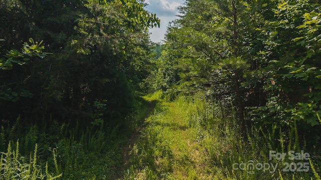 0 Old Vashti Rd Unit 2, Taylorsville, NC 28681