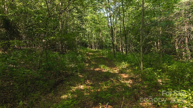 0 Old Vashti Rd Unit 2, Taylorsville, NC 28681