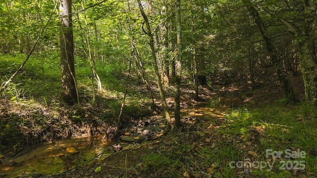 0 Old Vashti Rd Unit 2, Taylorsville, NC 28681