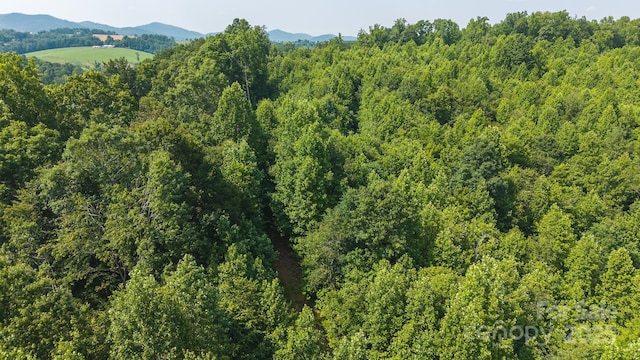 0 Old Vashti Rd Unit 2, Taylorsville, NC 28681