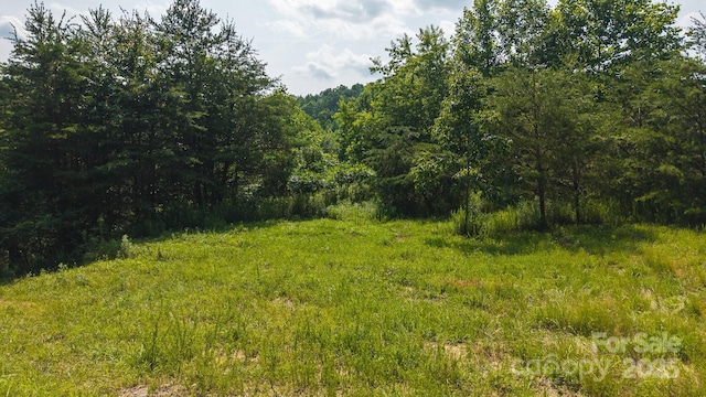0 Old Vashti Rd Unit 2, Taylorsville, NC 28681