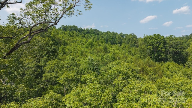 0 Old Vashti Rd Unit 2, Taylorsville, NC 28681