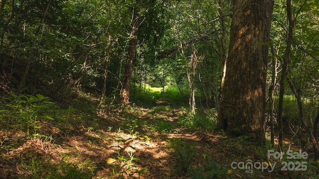 0 Old Vashti Rd Unit 2, Taylorsville, NC 28681