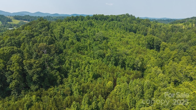 0 Old Vashti Rd Unit 2, Taylorsville, NC 28681