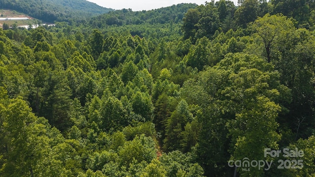 0 Old Vashti Rd Unit 2, Taylorsville, NC 28681