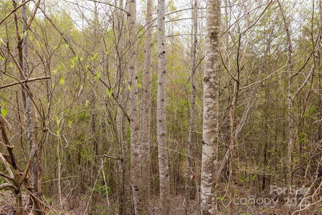 0 Old Vashti Rd Unit 2, Taylorsville, NC 28681