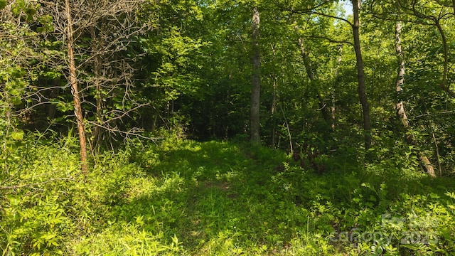 0 Old Vashti Rd Unit 2, Taylorsville, NC 28681