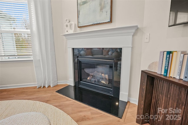 13709 Roderick Dr Unit 193, Huntersville, NC 28078 - details with a glass covered fireplace, baseboards, and wood finished floors