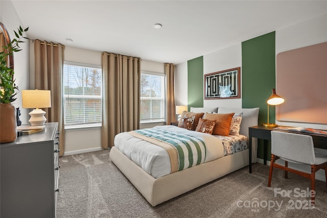 13709 Roderick Dr Unit 193, Huntersville, NC 28078 - bedroom with baseboards and carpet floors