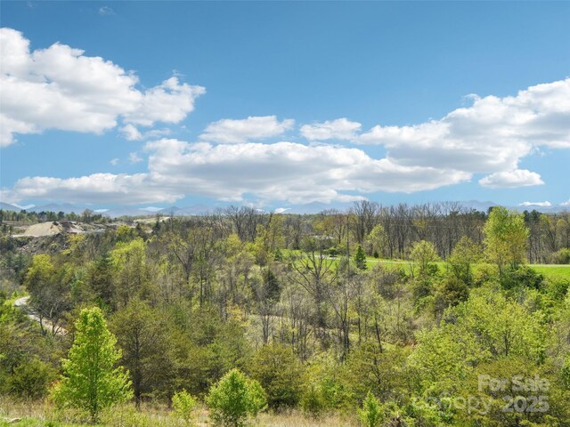 25 Colby Dr, Weaverville, NC 28787 - photo 23